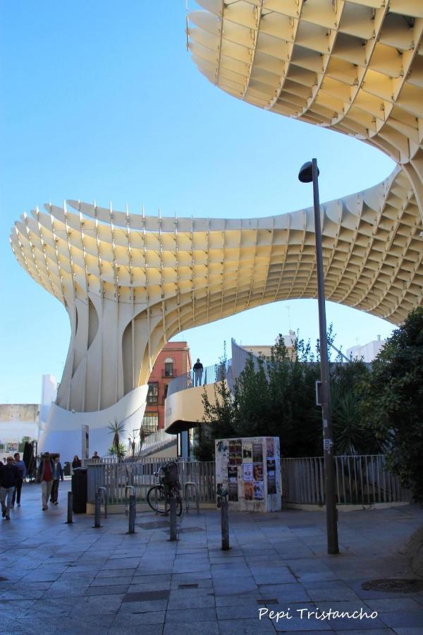 Suites Setas & Bicicletas Electricas Gratis Sevilla